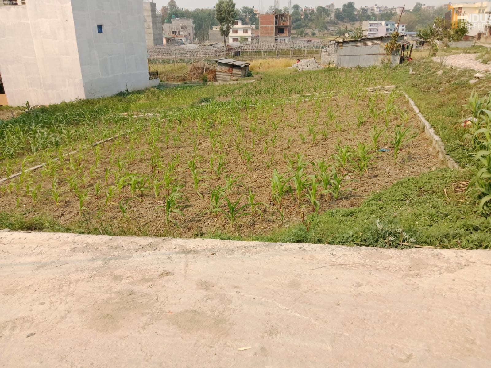 Picture of Mahalaxmi Municipality, Bagmati